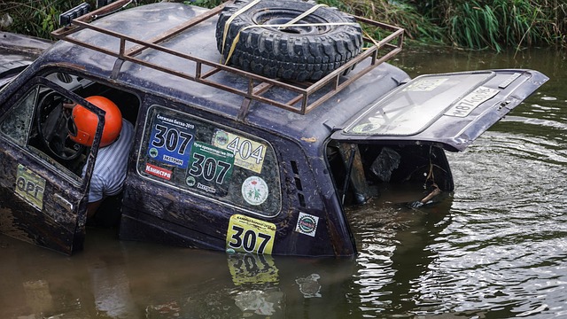 在训练中 在训练中