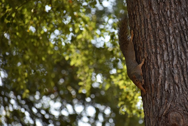 鼓励与反馈 鼓励与反馈
