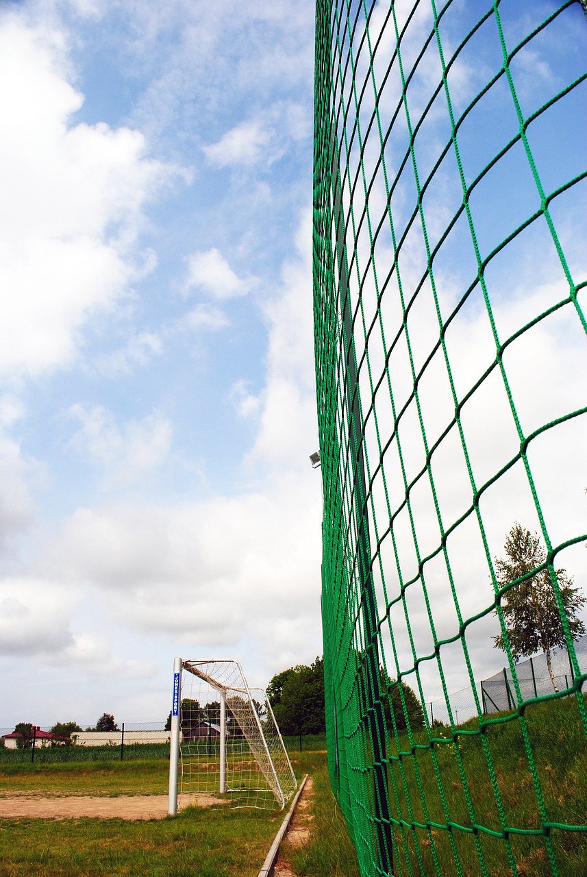 这种团队化 这种团队化