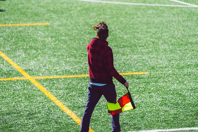 实施虽已显 实施虽已显