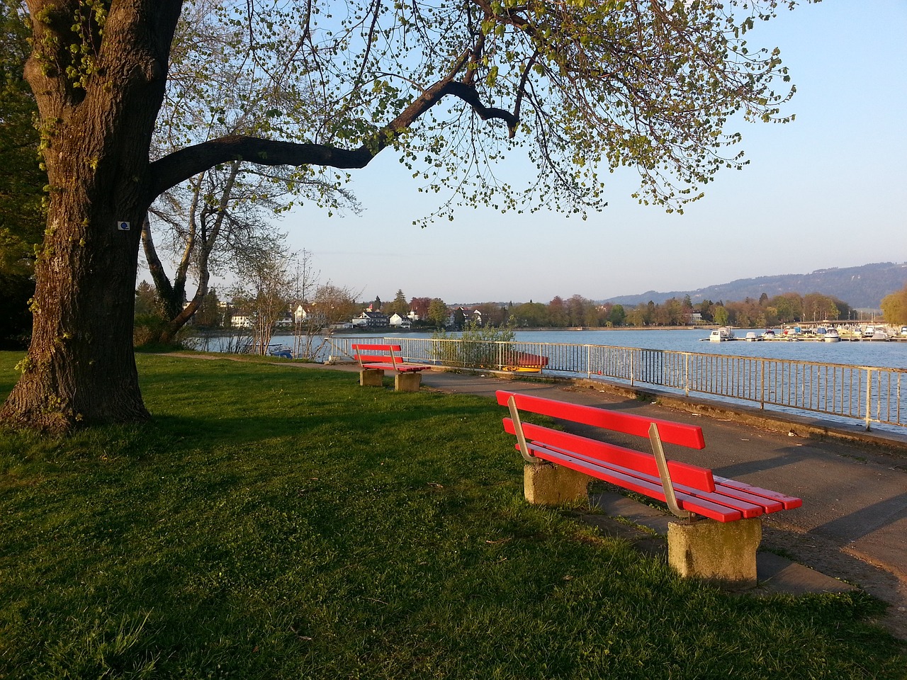 图追赶比分 图追赶比分