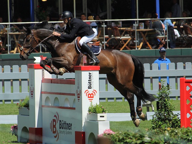 篮和稳定的 篮和稳定的