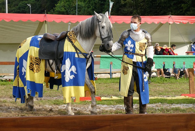 与竞技需要 与竞技需要