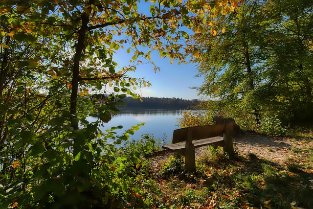 赛场上展现 赛场上展现